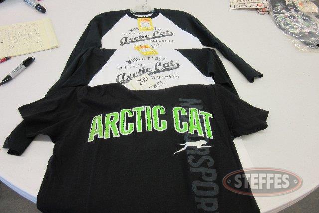  Arctic Cat _0.jpg
